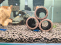 Blue Velvet Shrimp