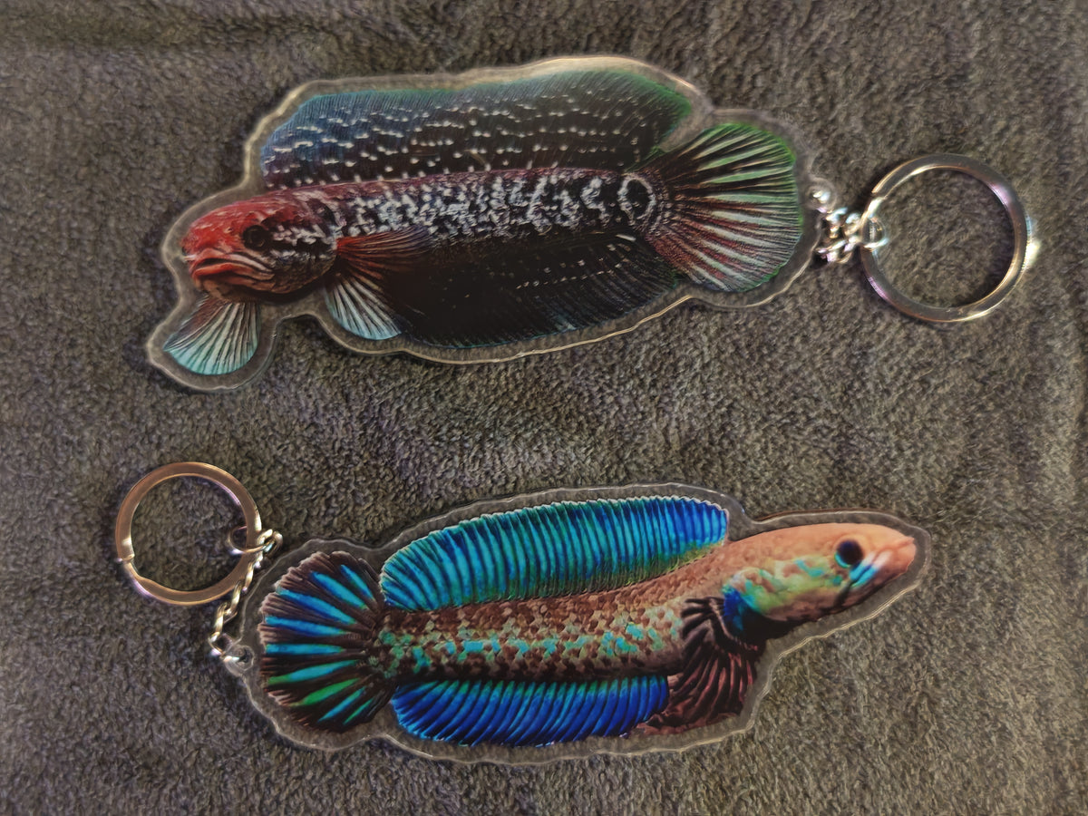 Channa Keychain