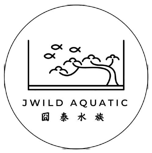 JWild Aquatic