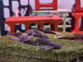 Ancistrus sp. [L144 Black Long Fin]