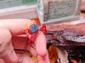 Mandarin White Claw Crab