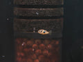 Mini Puffer