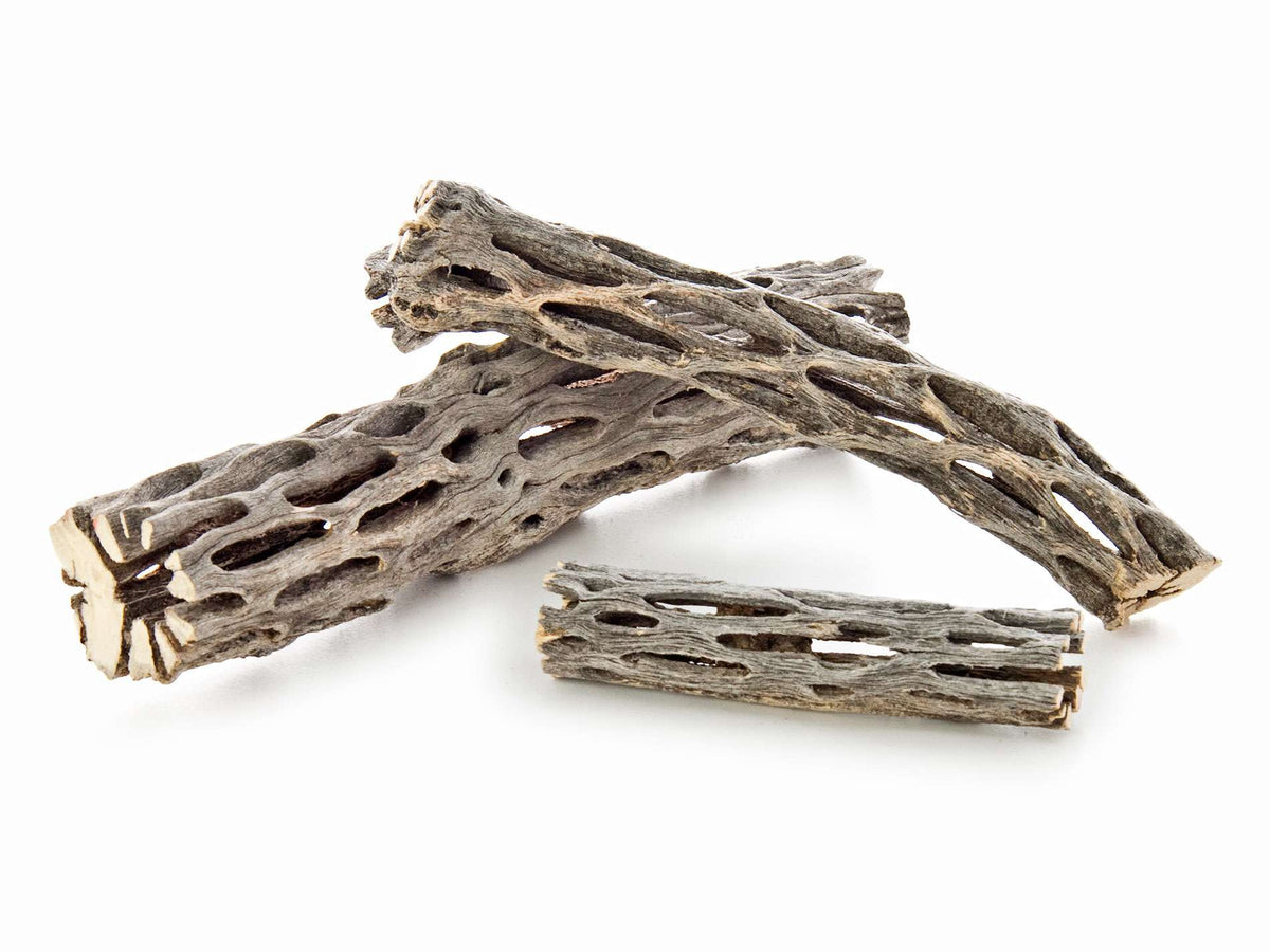 [PF SORA] Cholla Wood
