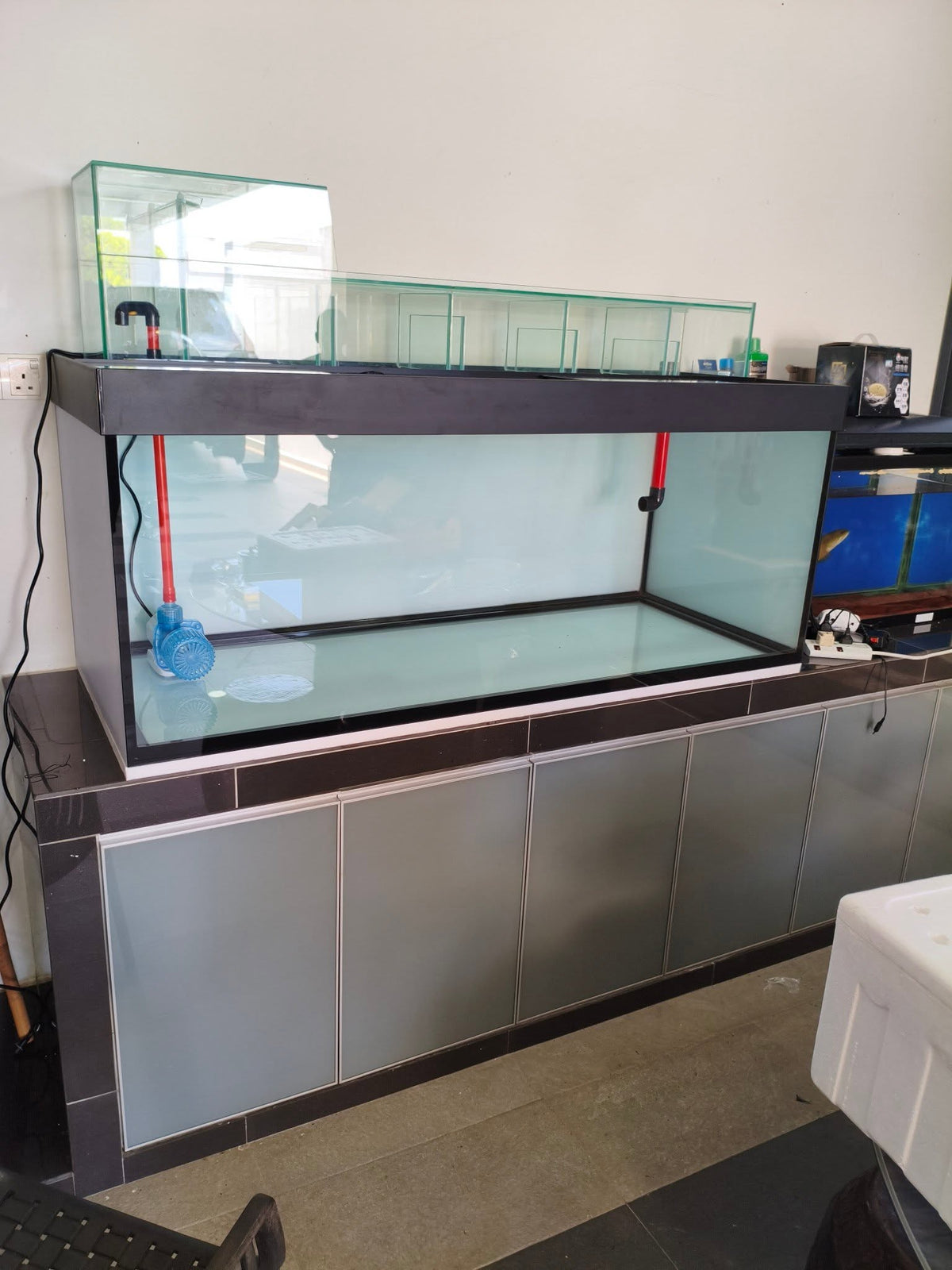 150x60x60cm Custom Made Tank Setup