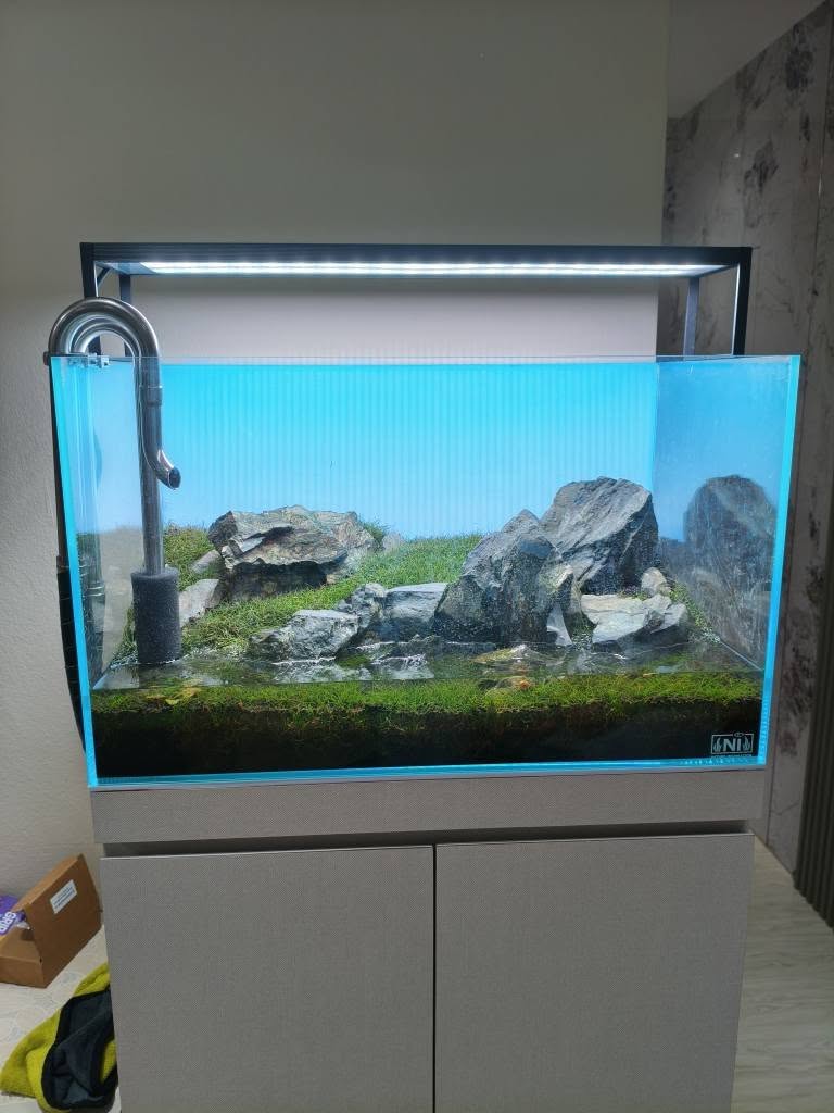 60x33x36cm Aquascape Design