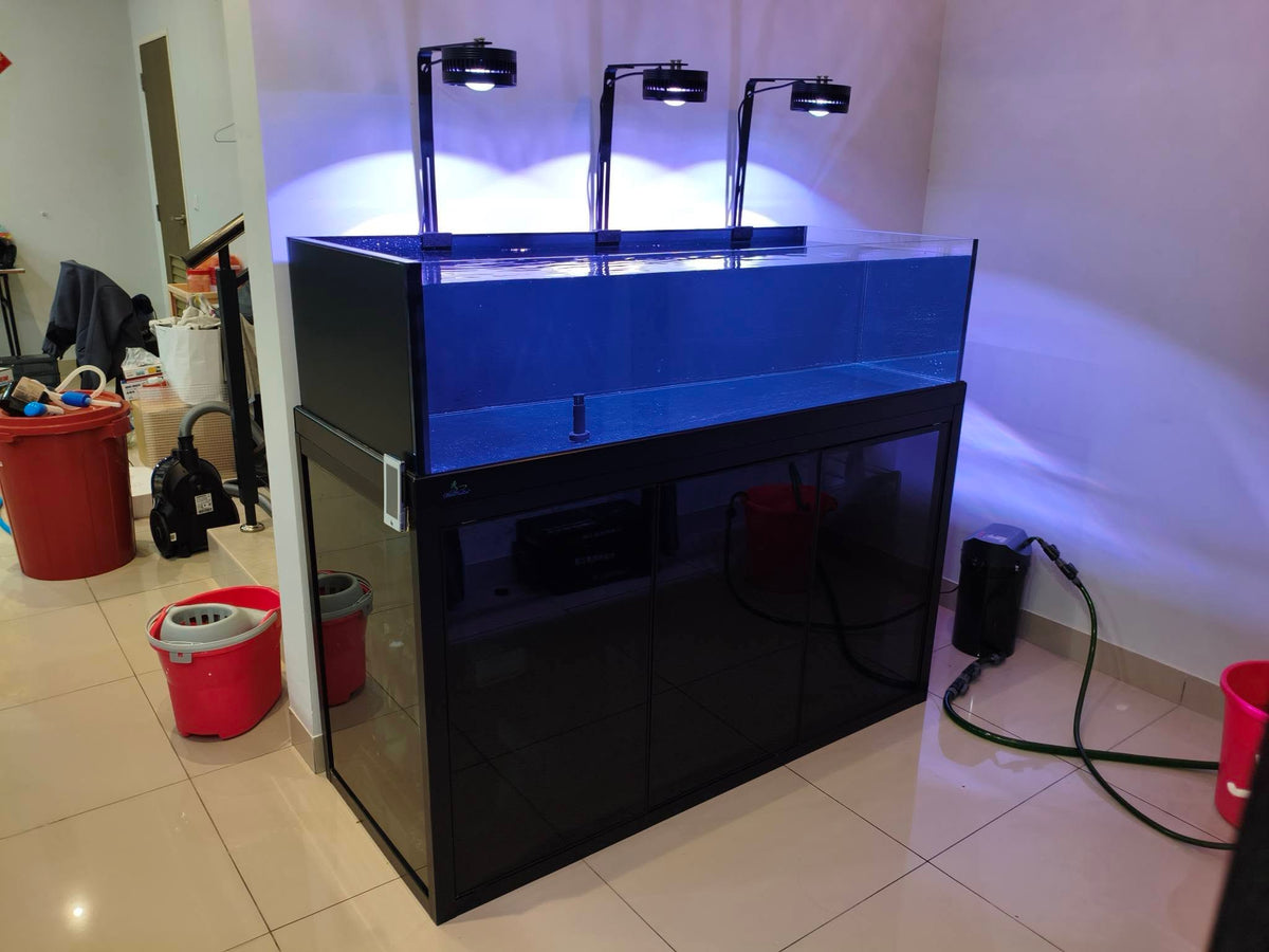 150*60*40 Stream Tank Setup