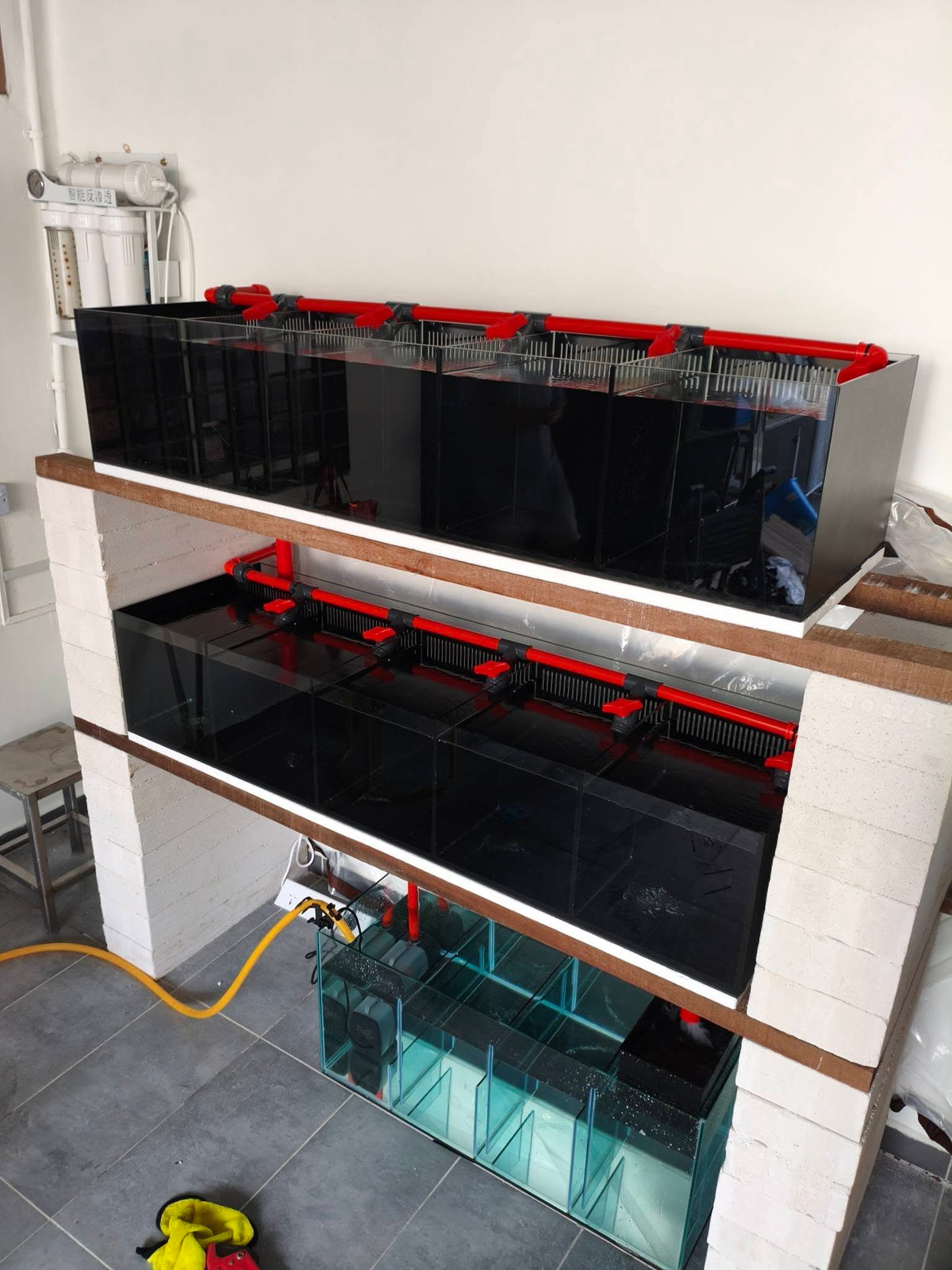 Custom Made Breeding Tank Setup