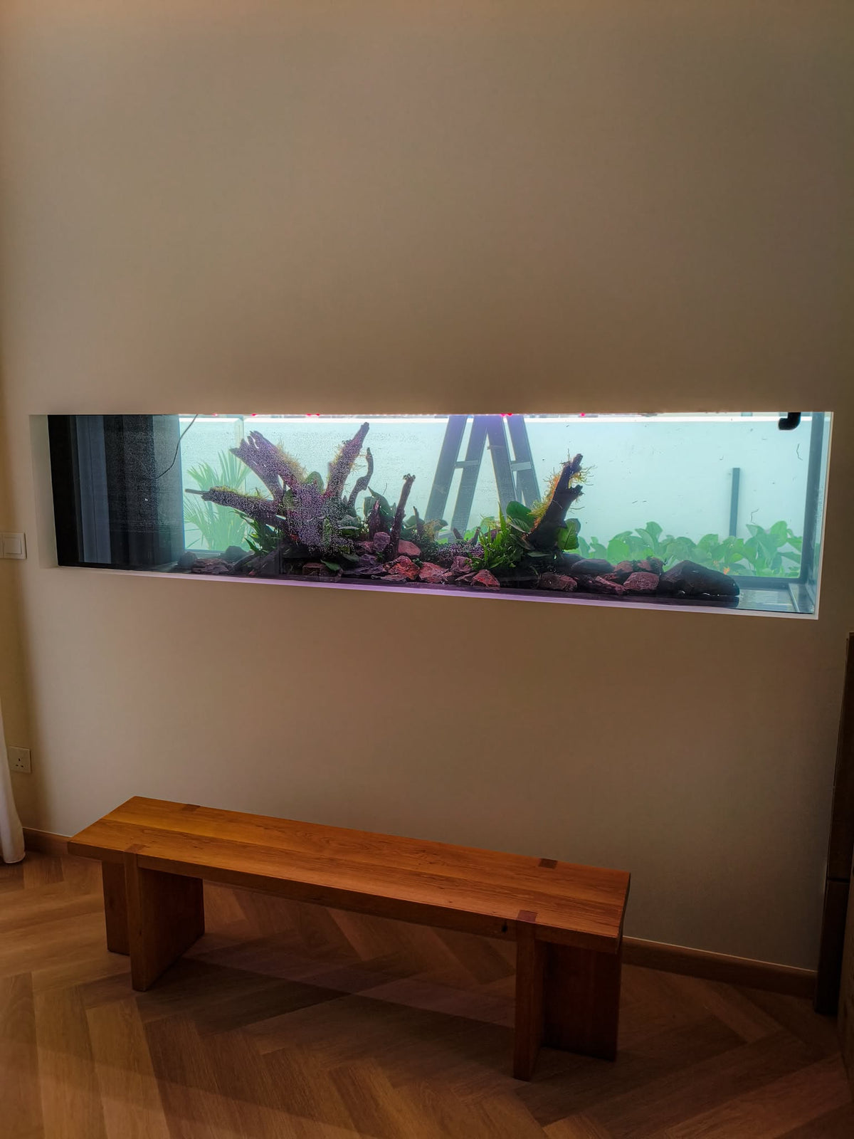 240x75x60cm Aquascape Design