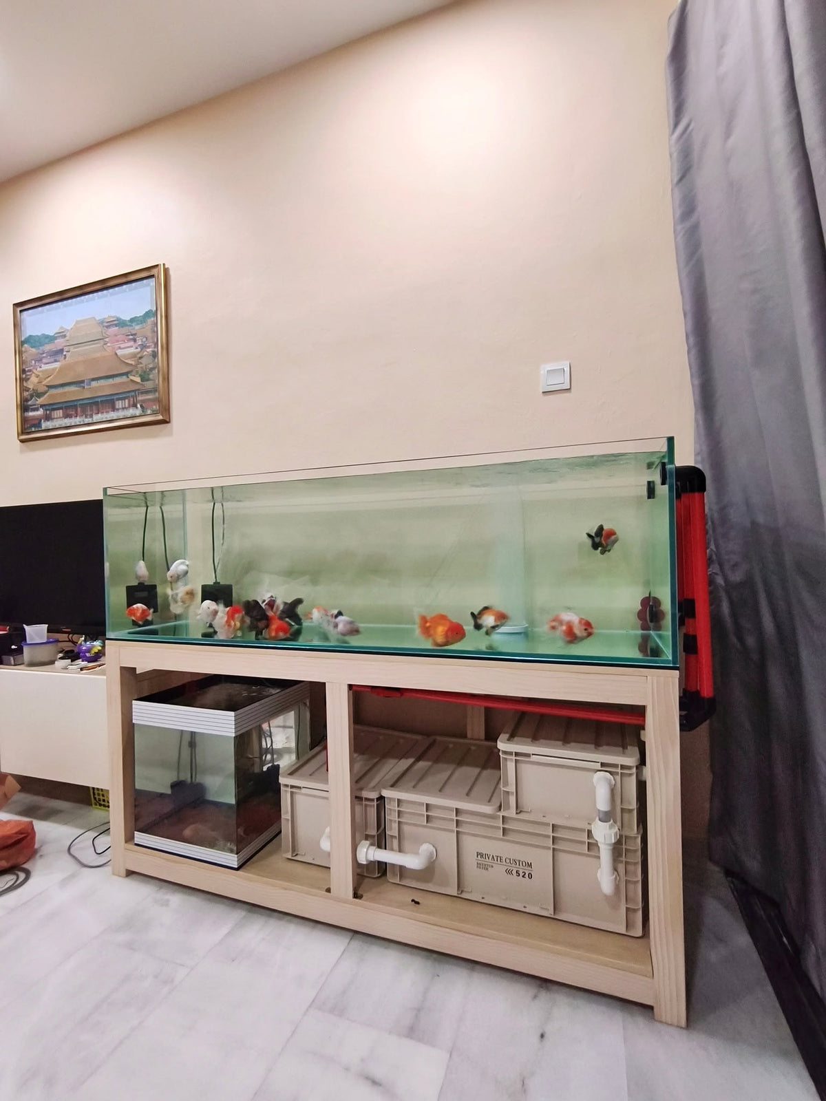 150x50x45cm Gold Fish Tank Setup