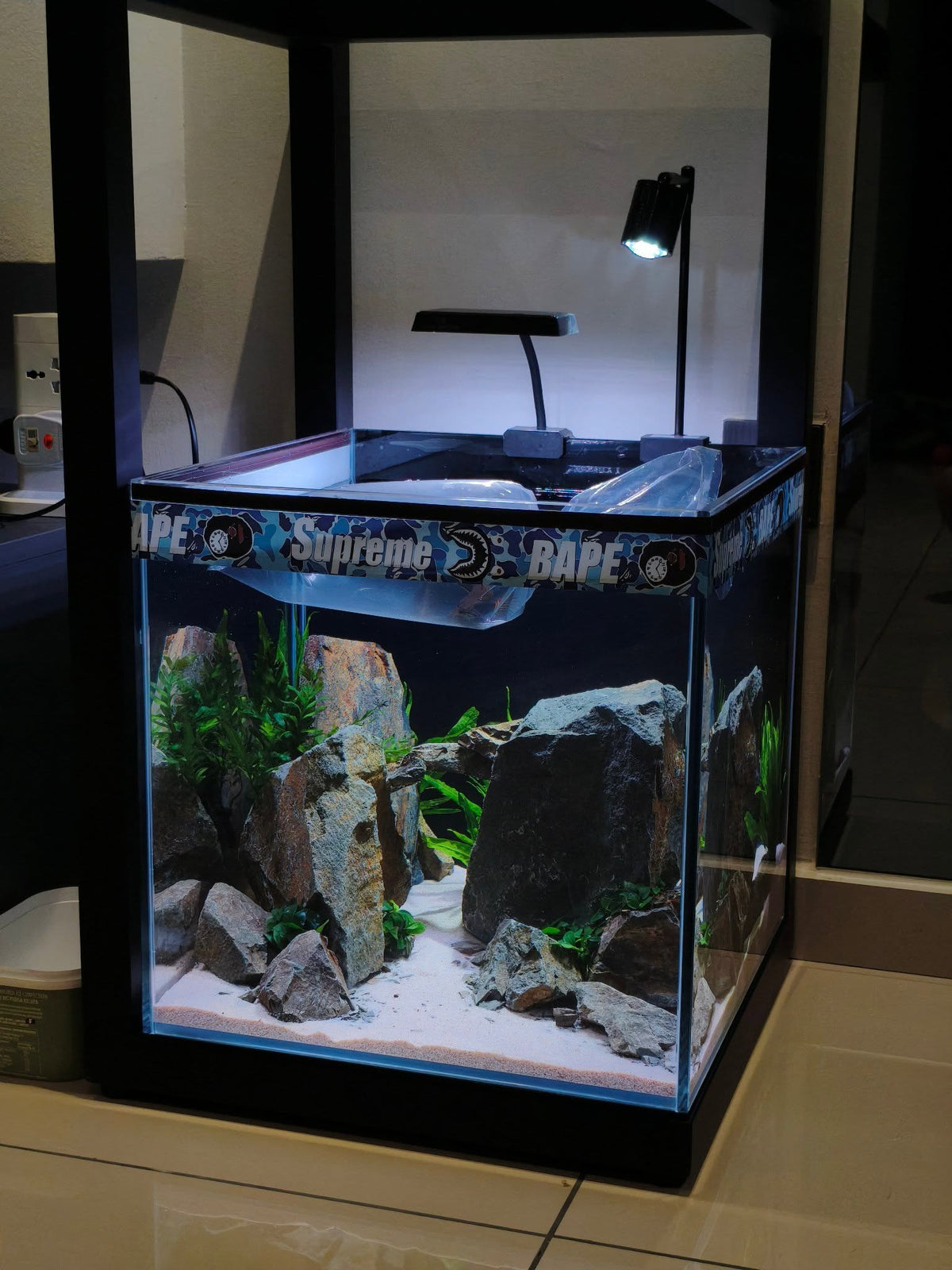40cm Channa Hardscape Setup