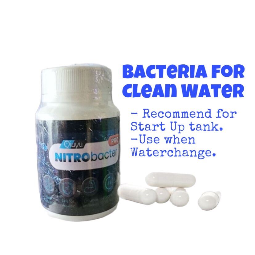 QIUYU NITRO BACTERIA - 秋羽硝化菌 - Image 2