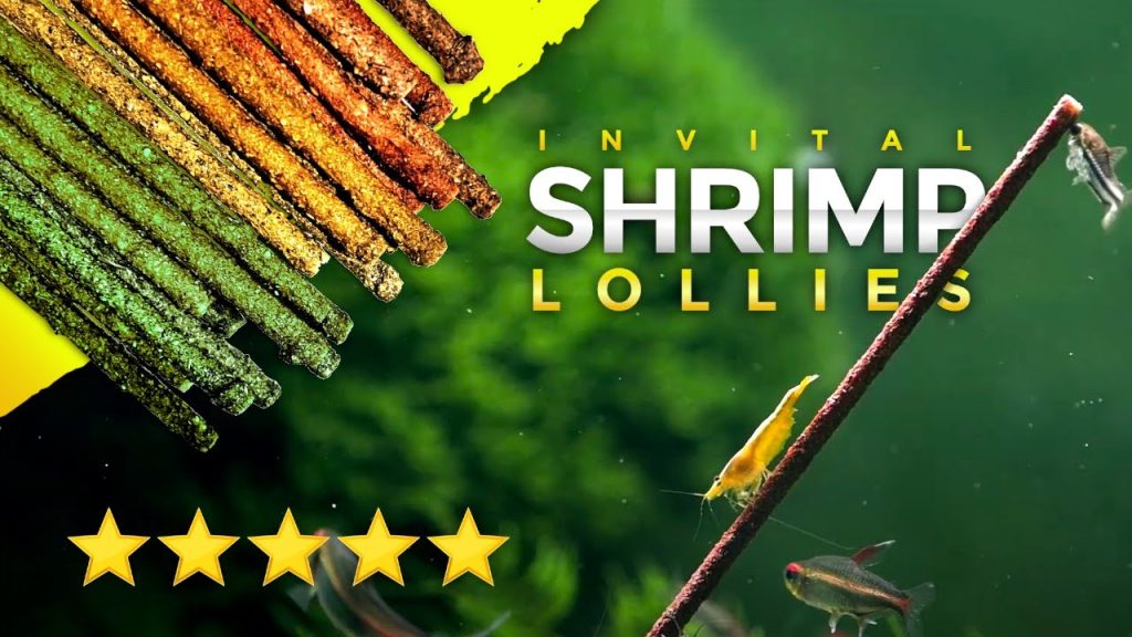 GLASGARTEN SHRIMP LOLLIES