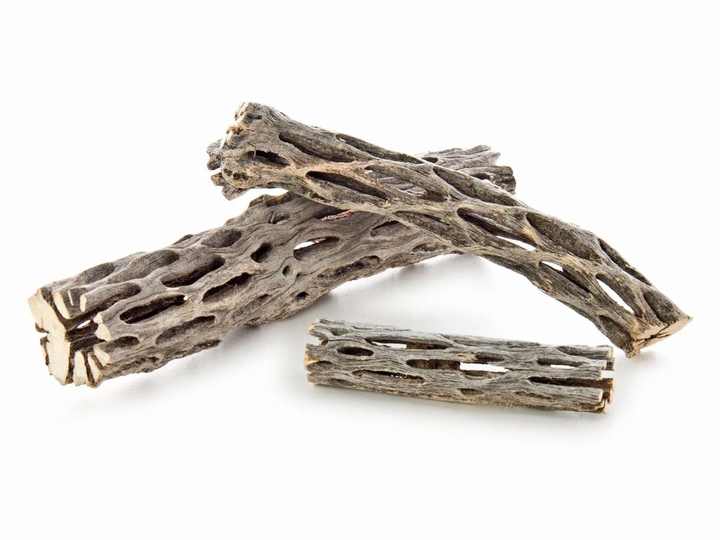 NATURE CHOLLA WOOD - 天然蝦木